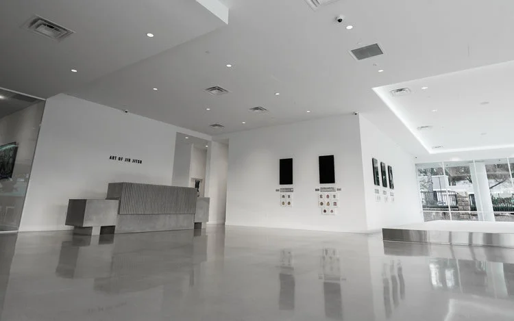 AOJ (Art of Jiu-Jitsu) Academy academy photo