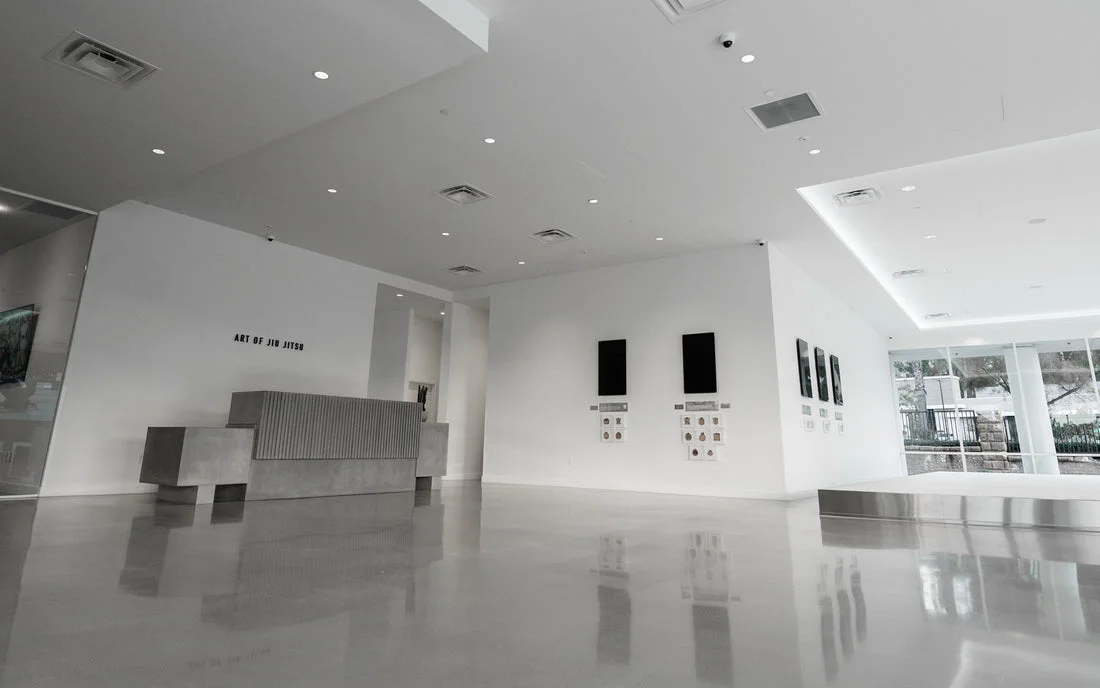 AOJ (Art of Jiu-Jitsu) Academy academy photo