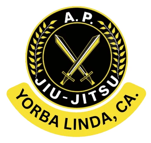 AP Jiu Jitsu academy photo