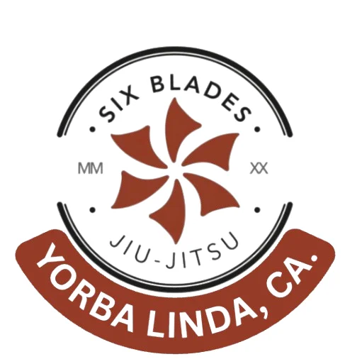 AP Jiu Jitsu academy photo