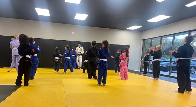 AP Jiu Jitsu academy photo