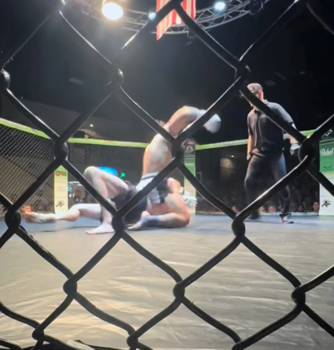 Apex Predator MMA academy photo
