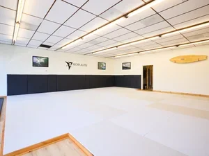 Archer Jiu Jitsu academy photo