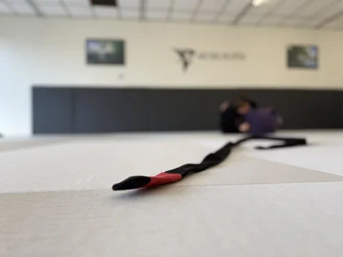 Archer Jiu Jitsu academy photo
