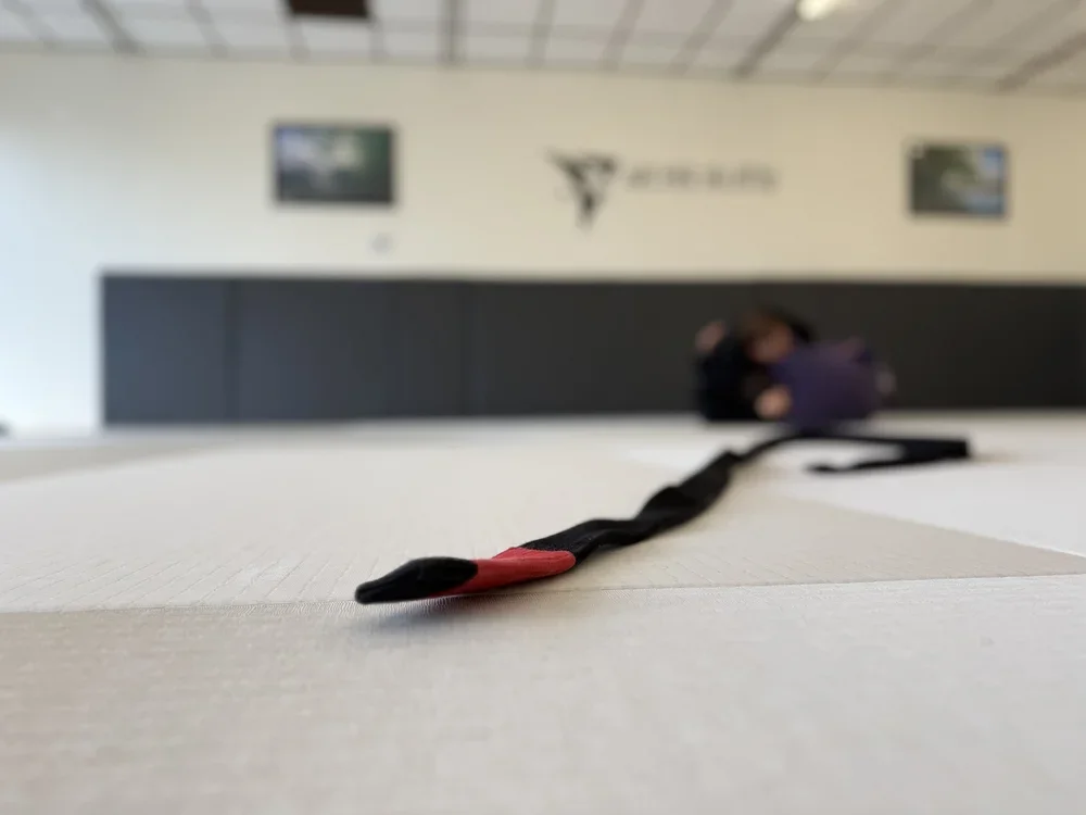 Archer Jiu Jitsu academy photo