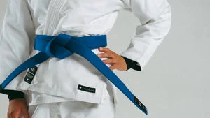 ART OF JIU JITSU academy photo