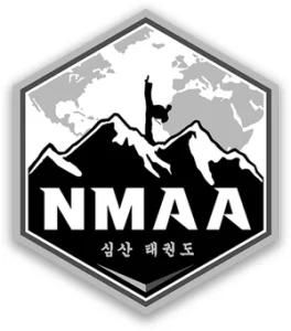 Ascend Martial Arts academy photo