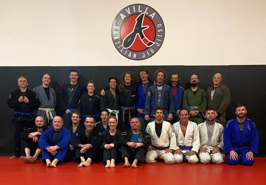 AVILLA BRAZILLIAN JIU JITSU academy photo