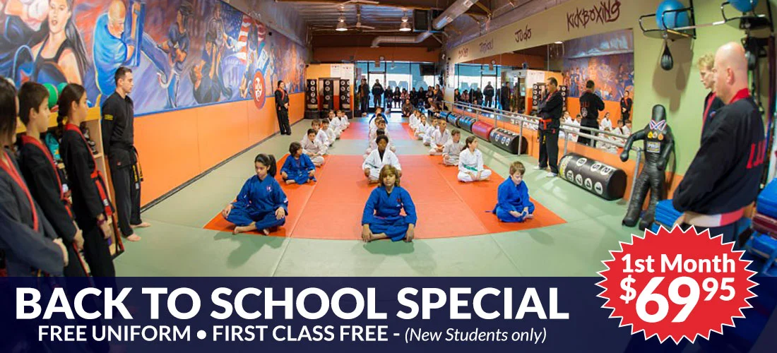 Aziz Mixed Martial Arts academy photo