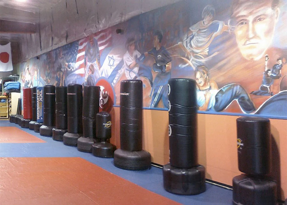Aziz Mixed Martial Arts academy photo