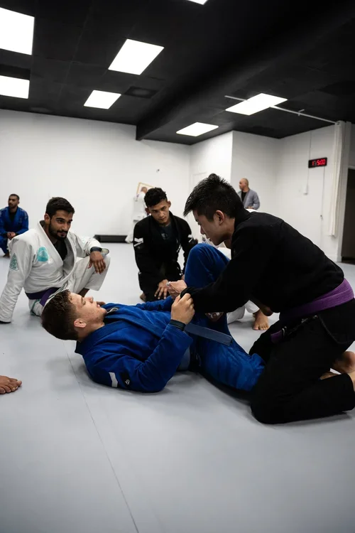 Fremont Jiu Jitsu (BJJ) academy photo