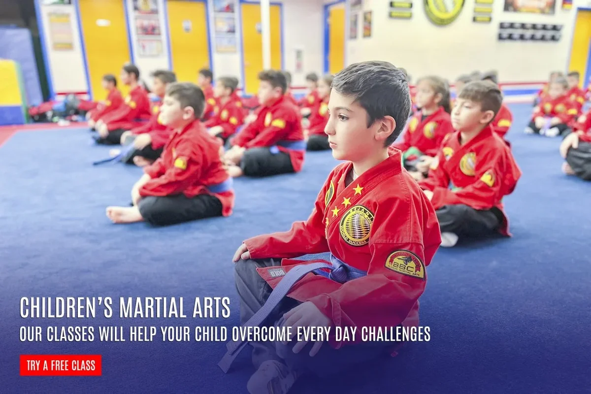 Bejanian Martial Arts North Hollywood academy photo