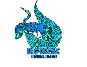 Big Break Brazilian Jiu-Jitsu academy logo
