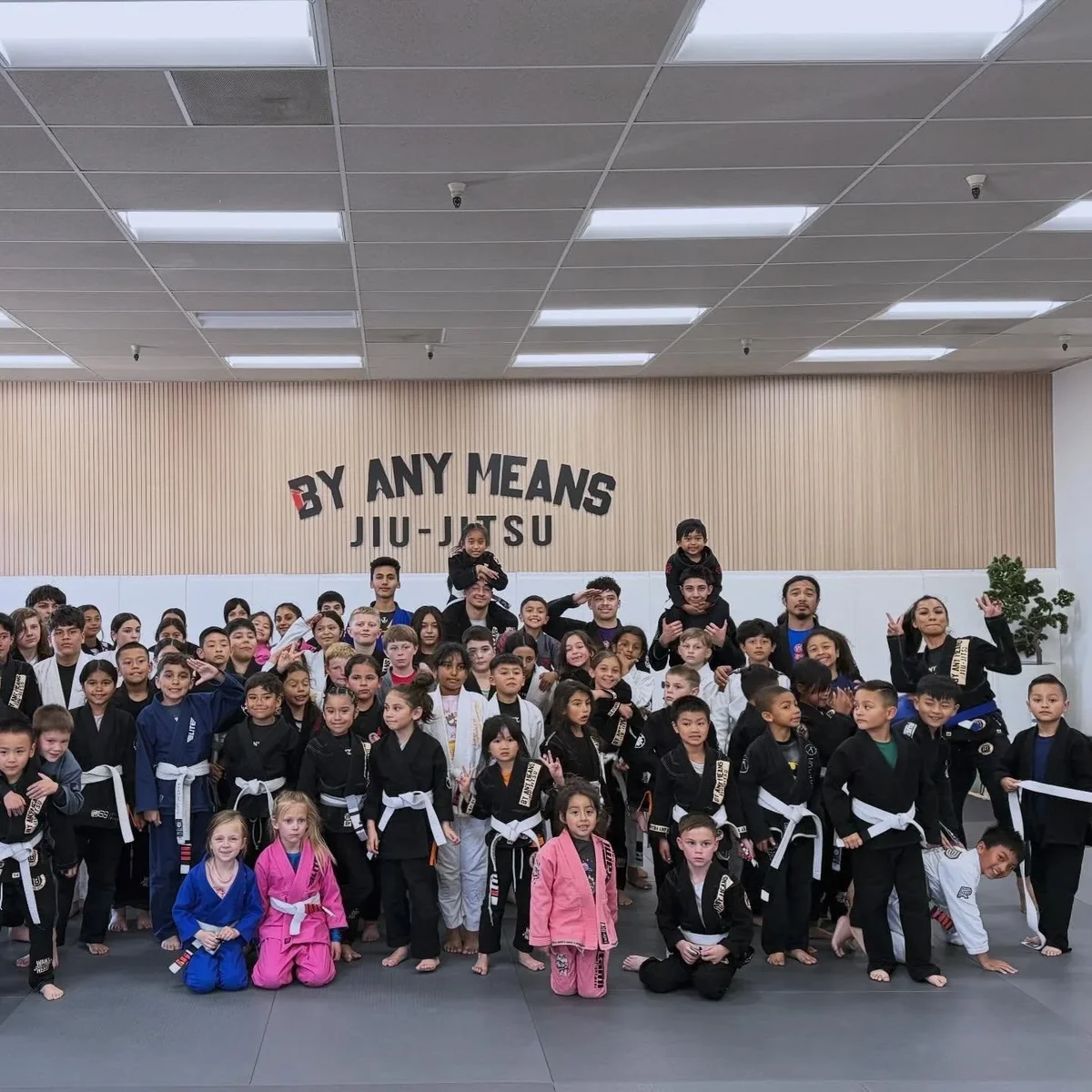 By Any Means Jiu-Jitsu Academy academy photo