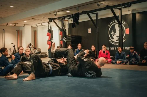 California Combat Club Jiu-Jitsu academy photo