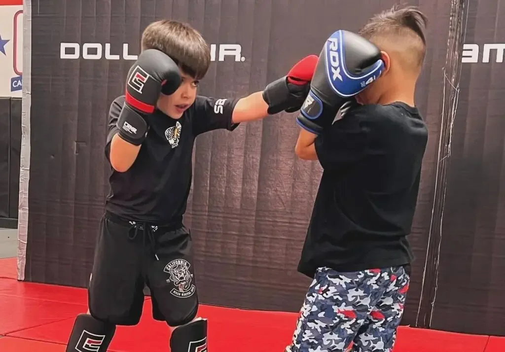 California Mixed Martial Arts (CMMA Fitness) academy photo