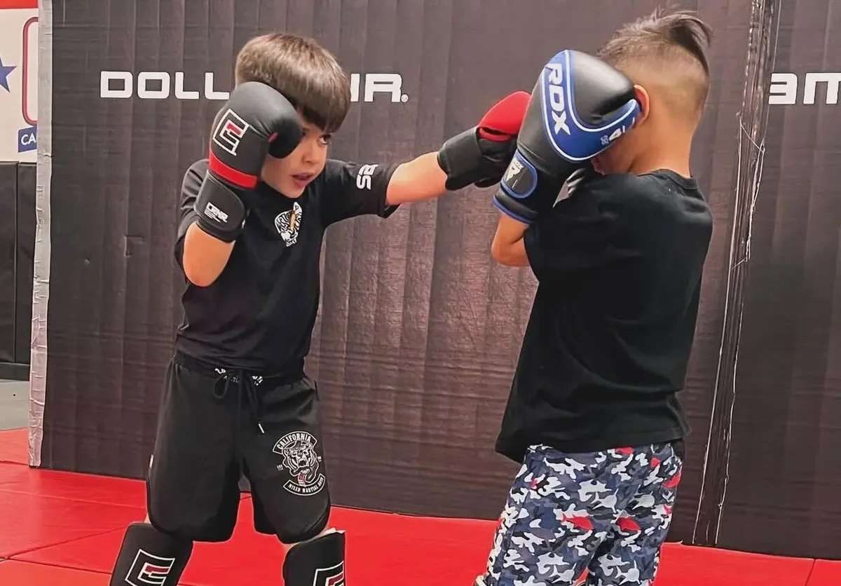California Mixed Martial Arts (CMMA Fitness) academy photo