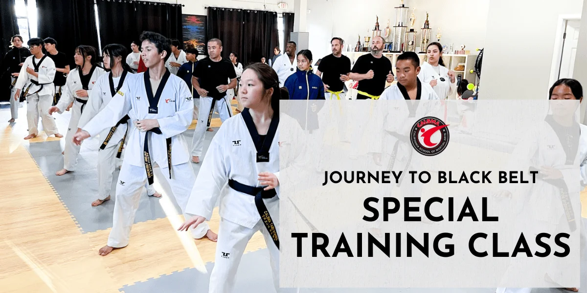 CalSMA (California Martial Arts) academy photo