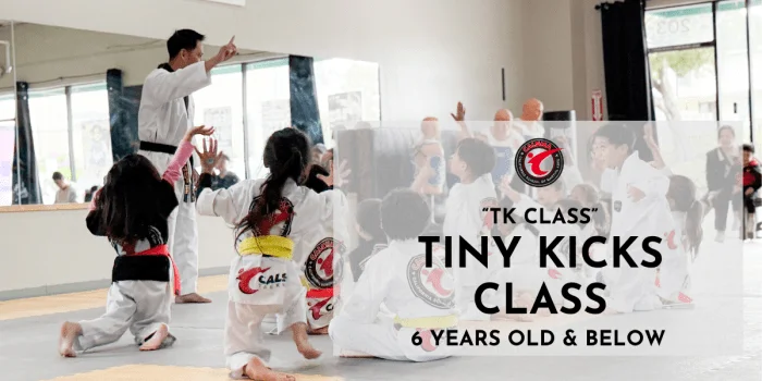 CalSMA (California Martial Arts) academy photo