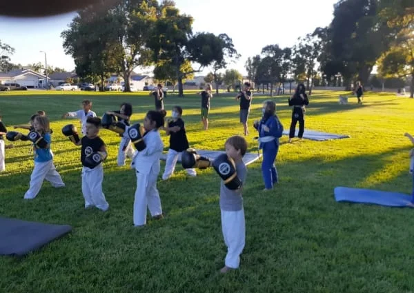 Candal's Martial Arts academy photo
