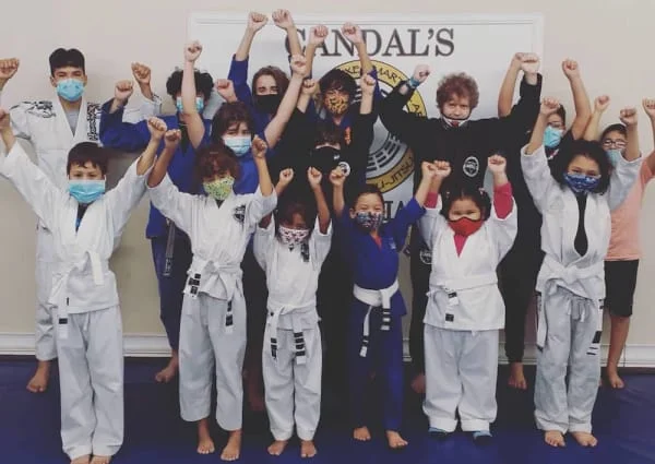 Candal's Martial Arts academy photo