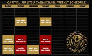Capitol Jiu Jitsu - Carmichael academy photo