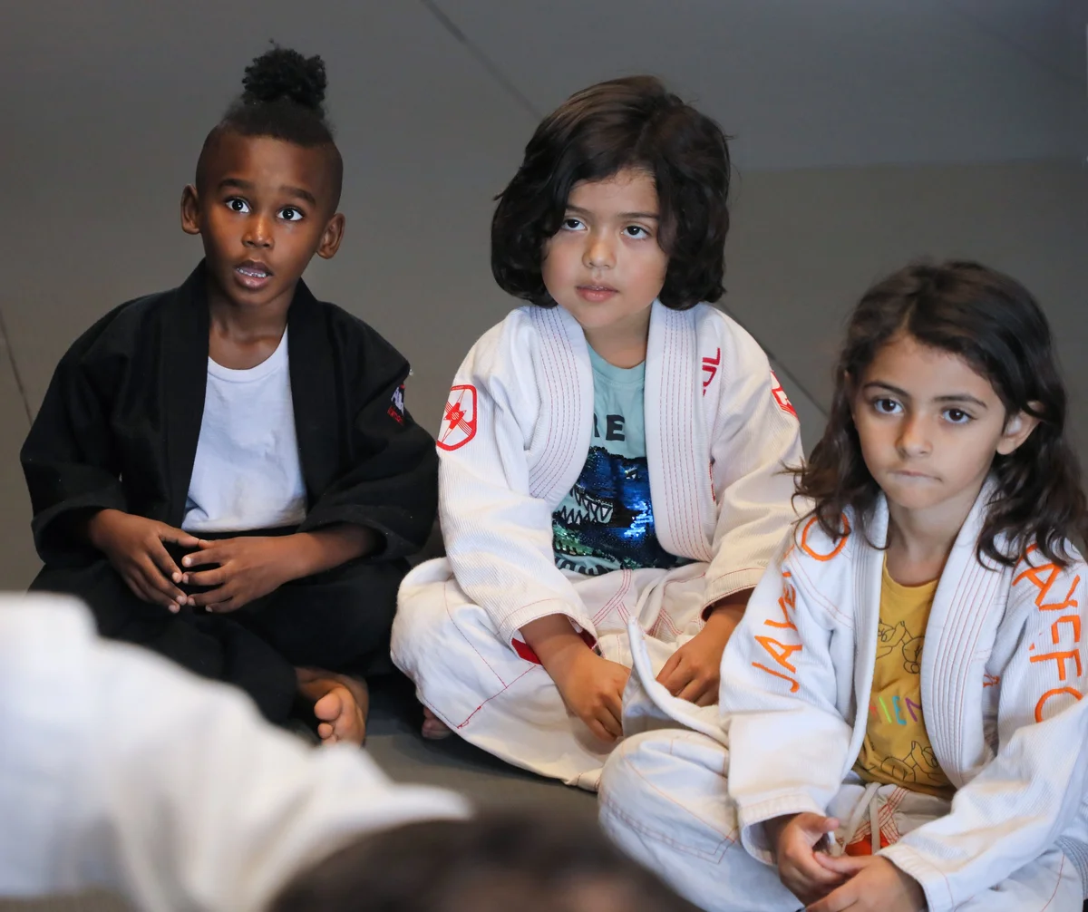 Capitol Jiu Jitsu - Carmichael academy photo