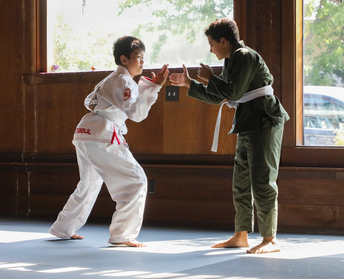 Capitol Jiu Jitsu - Carmichael academy photo