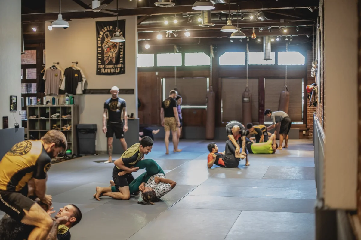 Capitol Jiu Jitsu - Carmichael academy photo