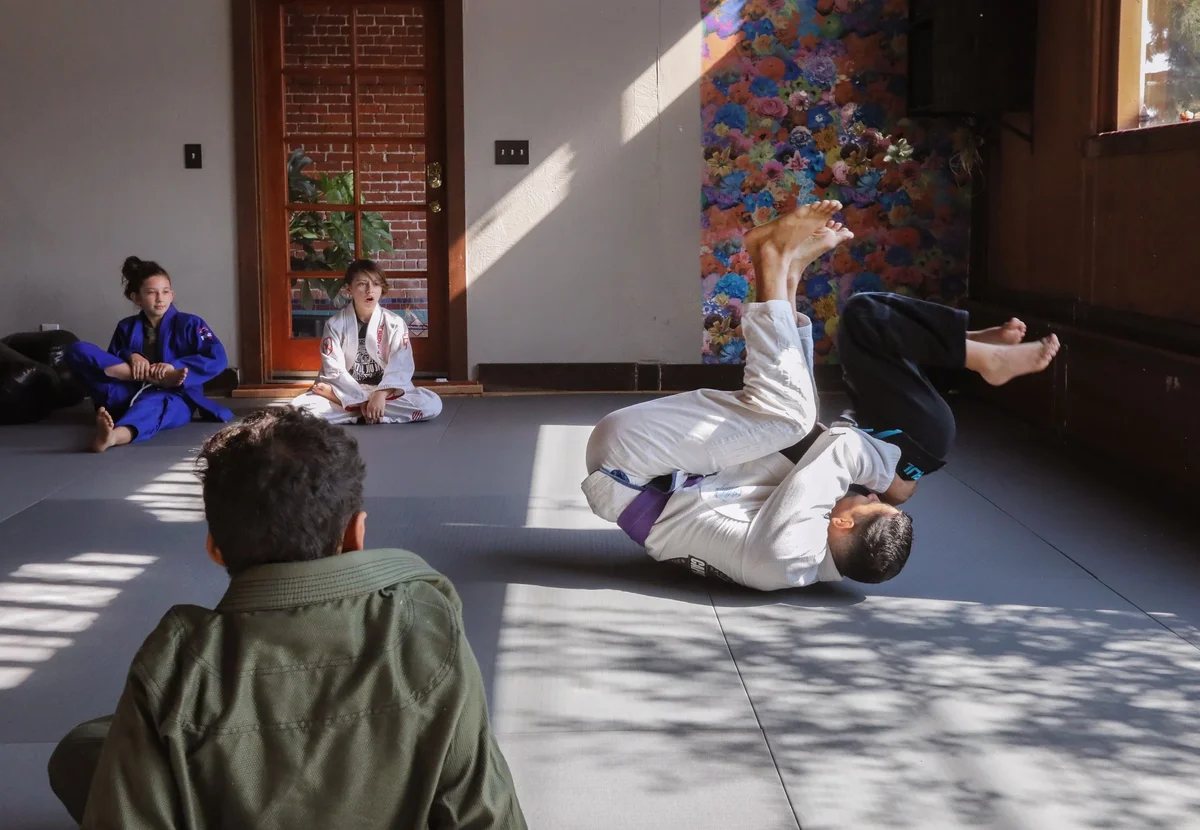 Capitol Jiu Jitsu - Carmichael academy photo