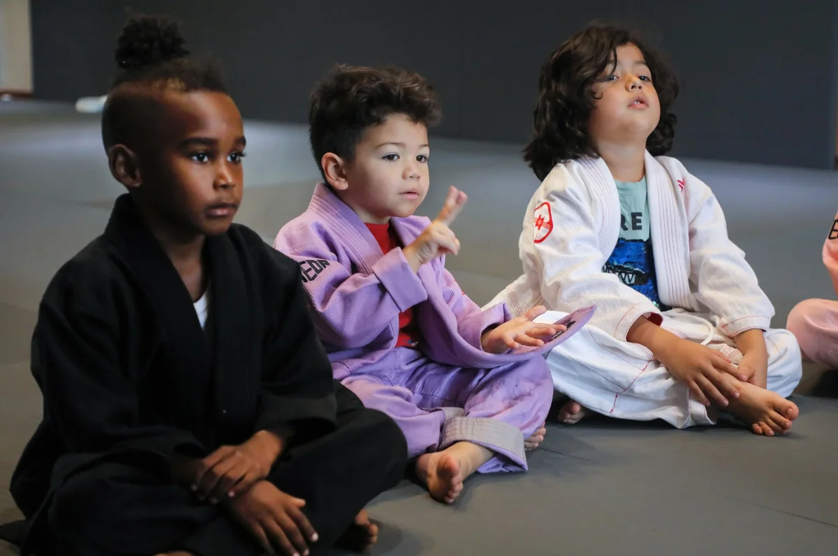 Capitol Jiu Jitsu - Carmichael academy photo