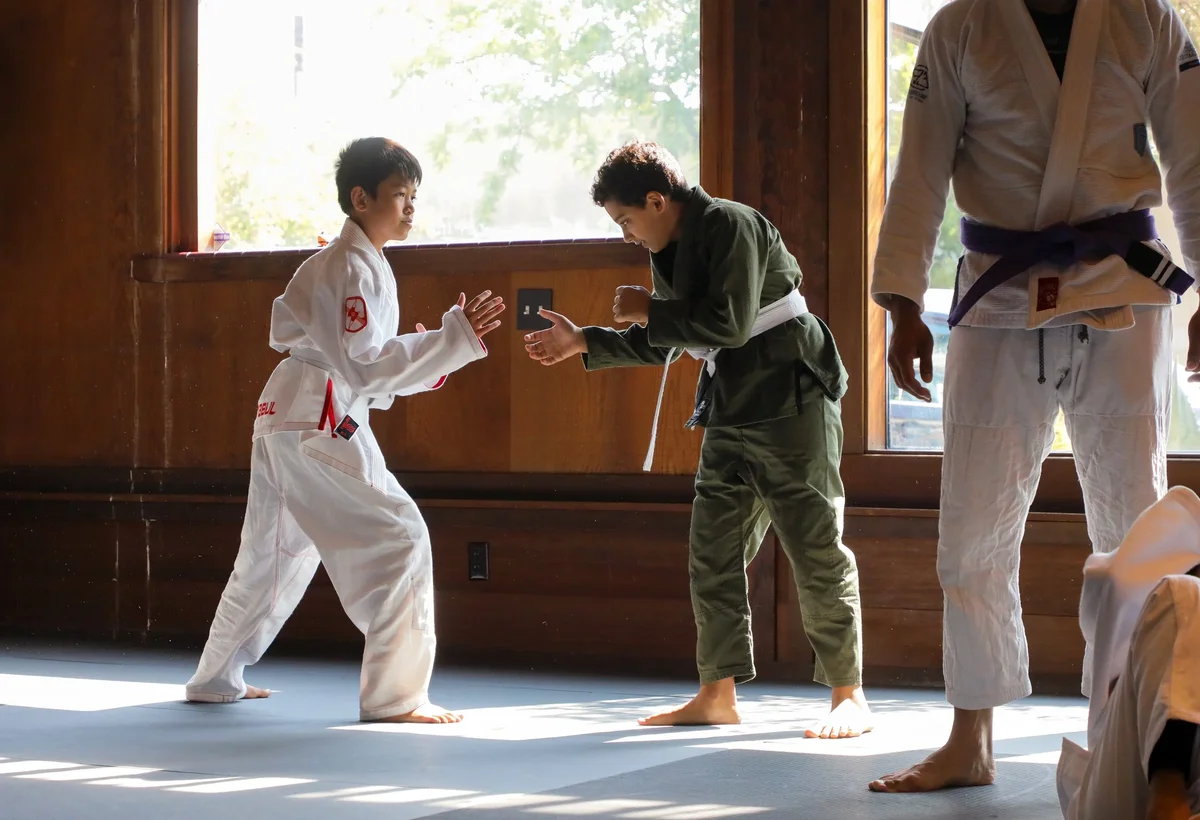 Capitol Jiu Jitsu - Carmichael academy photo