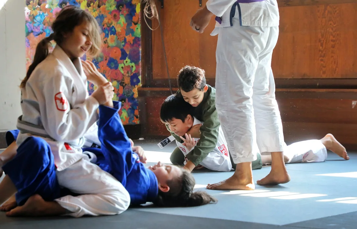 Capitol Jiu Jitsu - Carmichael academy photo
