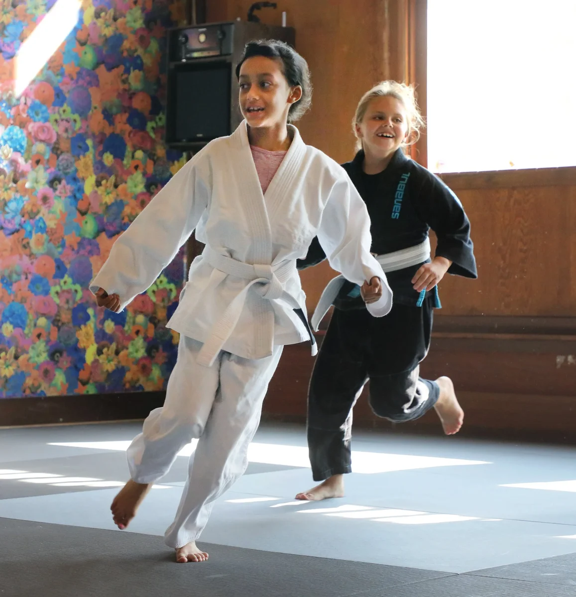 Capitol Jiu Jitsu - Carmichael academy photo