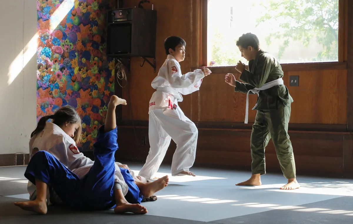 Capitol Jiu Jitsu - Carmichael academy photo