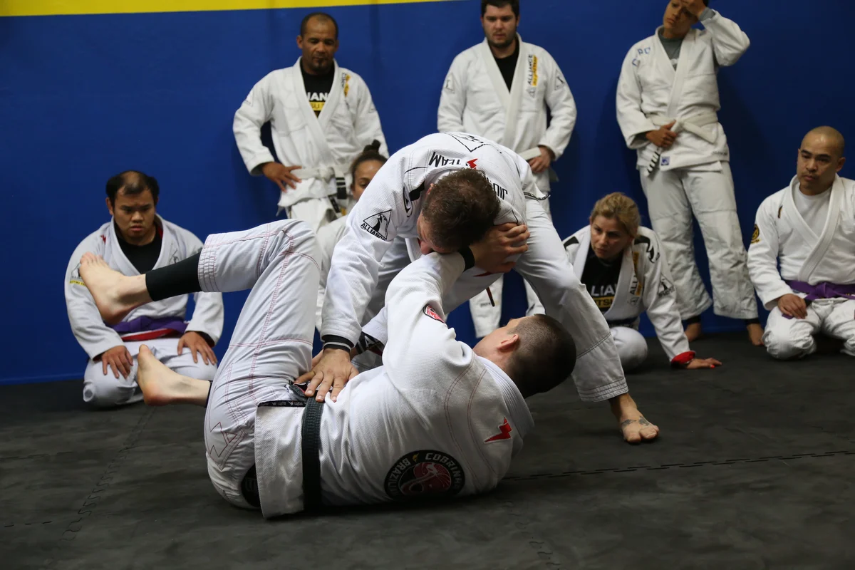 Capoeira and Brazilian Jiu-Jitsu Bay Area visual