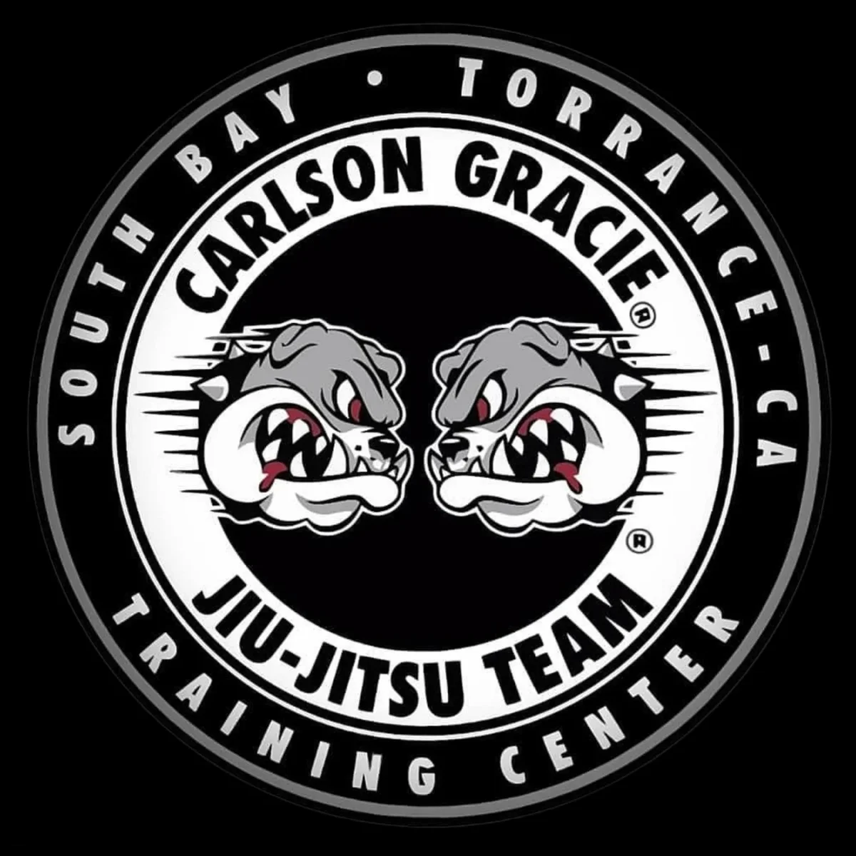 Carlson Gracie South Bay academy photo