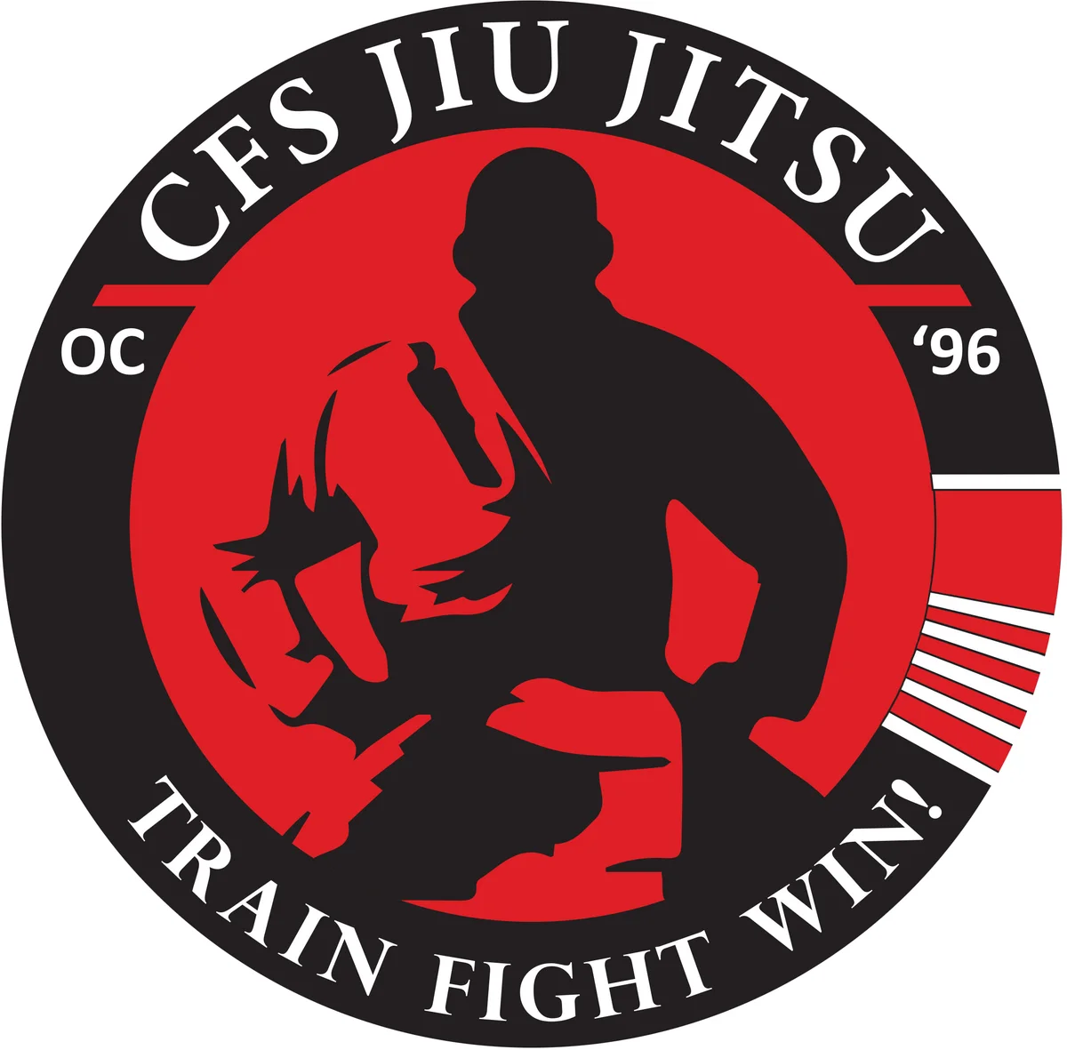 CFS JIU JITSU academy logo