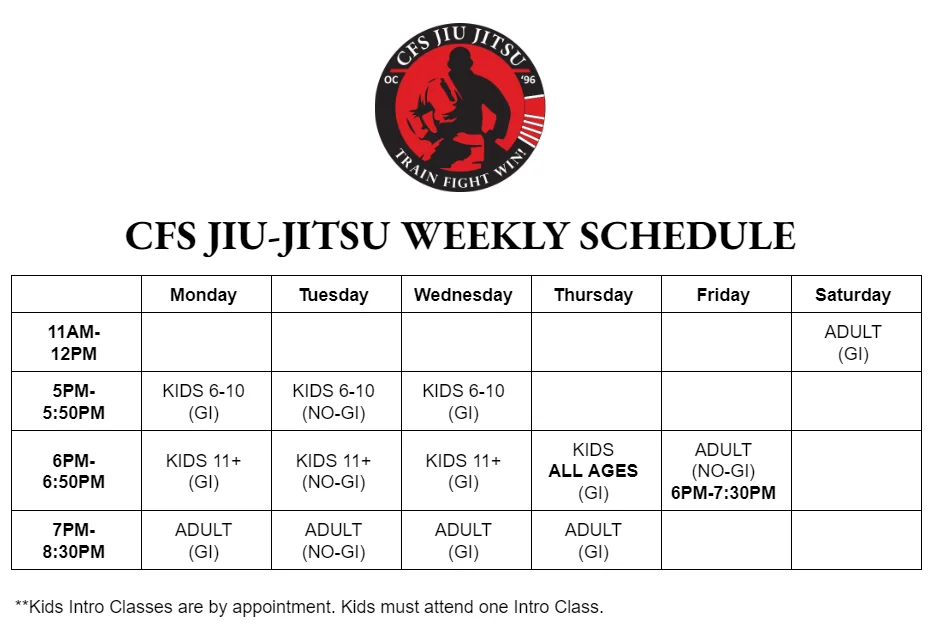 CFS JIU JITSU academy photo