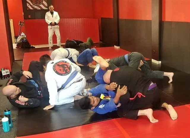 CFS JIU JITSU academy photo