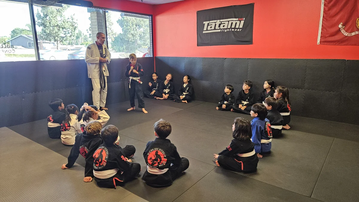 CFS JIU JITSU academy photo