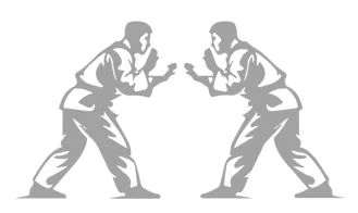 Checkmat Brentwood Jiu-Jitsu academy photo