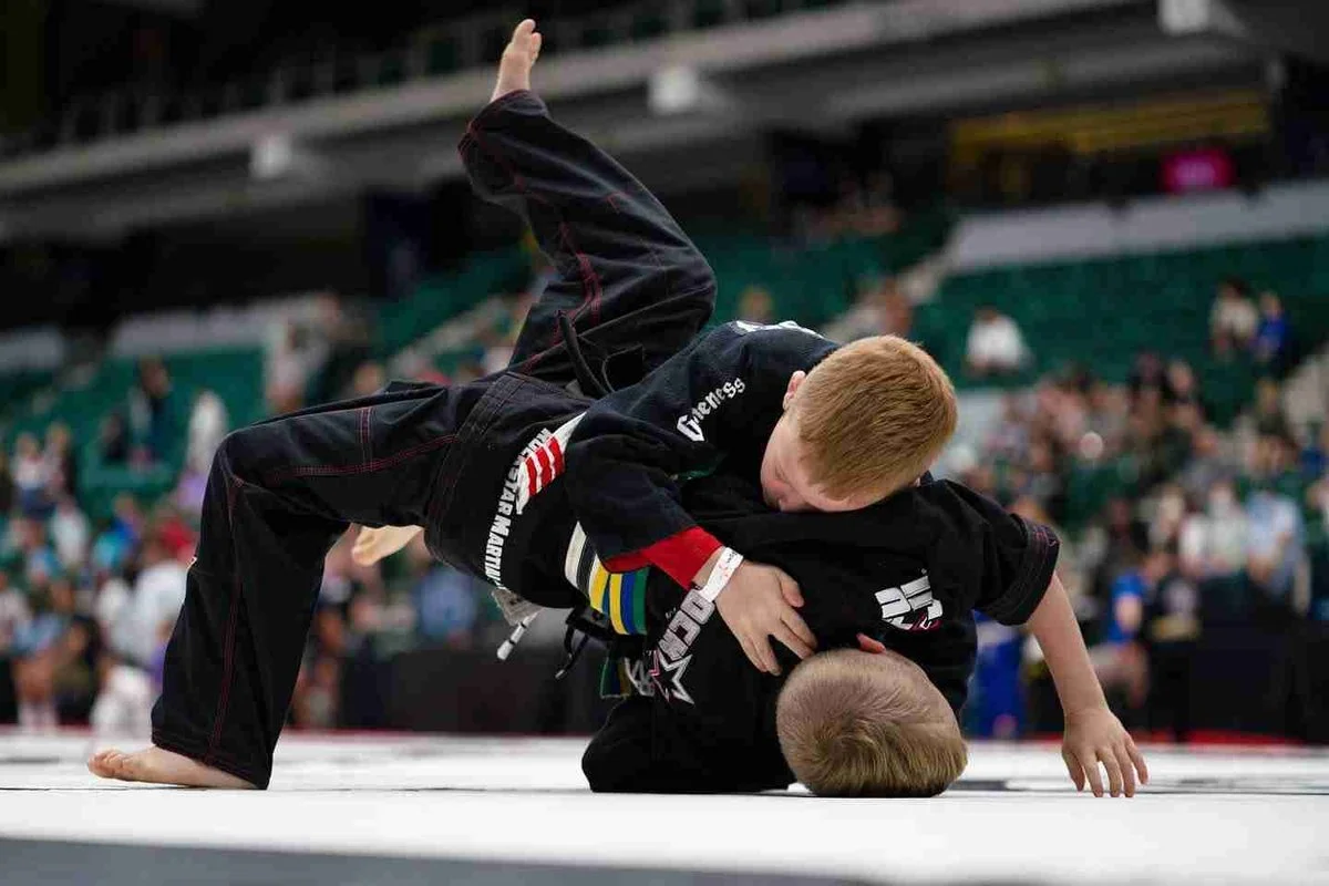 Checkmat V1SION BJJ academy logo