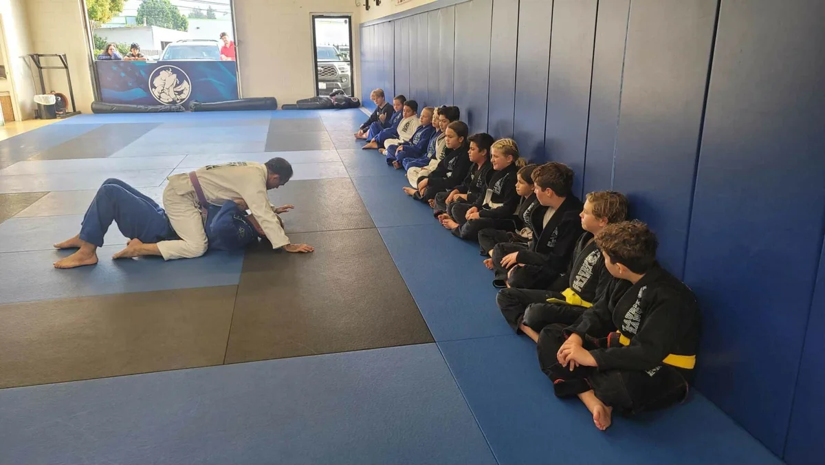 Claudio França BJJ academy photo