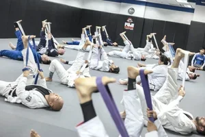 Cobrinha Brazilian Jiu-Jitsu & Fitness facility image