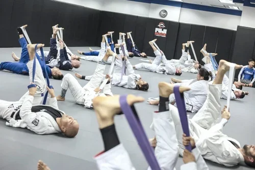 Cobrinha Brazilian Jiu-Jitsu & Fitness facility image