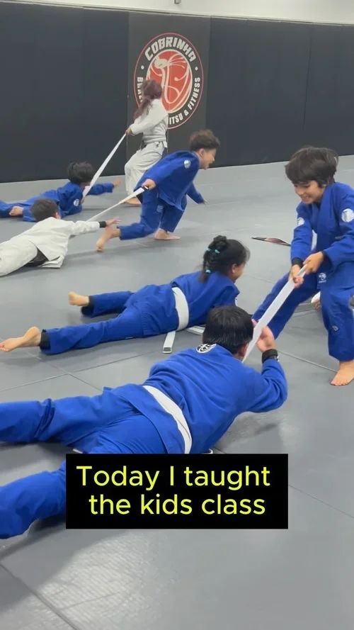 Cobrinha Brazilian Jiu-Jitsu & Fitness facility image