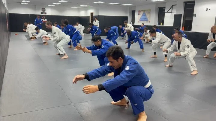 Cobrinha Brazilian Jiu-Jitsu & Fitness facility image