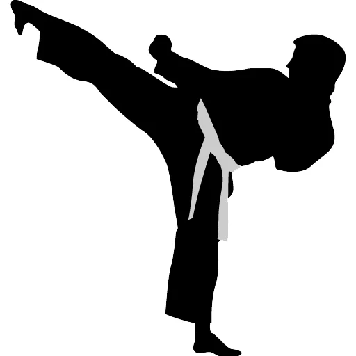 Community Martial Arts academy photo