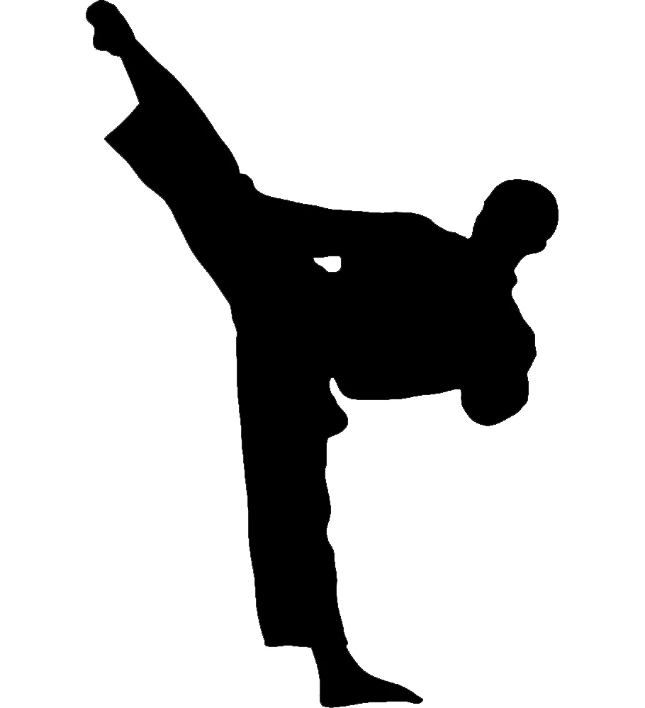 Community Martial Arts academy photo